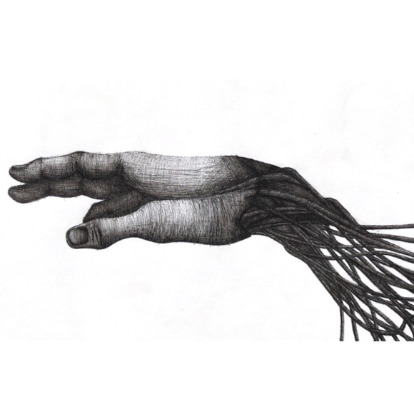 Meet your Posher, Lorenzo - Picture 1 of 1